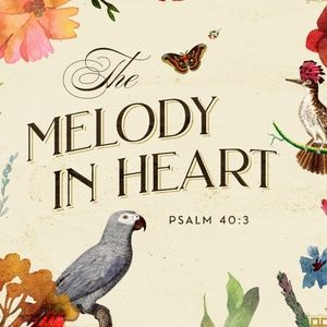 Beautiful new and gently loved items